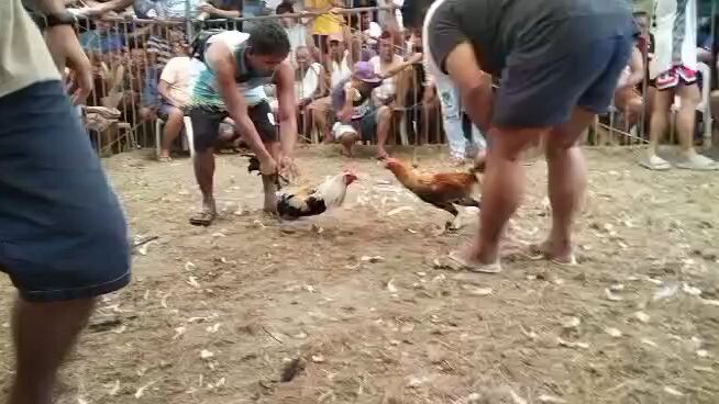 3x winner  jr3 dirty grey