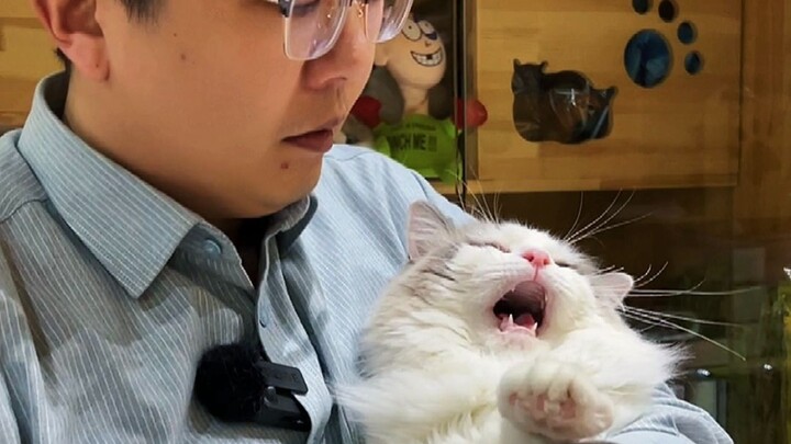 Lại là một ngày bị bức hại.