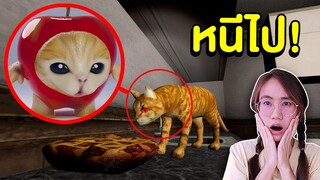 เกิดอะไรขึ้น ?! แมวส้มกลายเป็นแอปเปิ้ลแคท Apple Cat | Mind&Nat