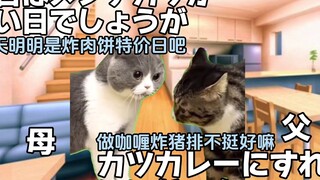 【熟/猫meme】不做家务的爸爸