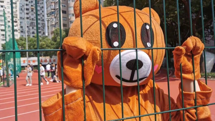 【Wan-fan Benefit】Surprisingly, a brown bear strolled into the sports field and started dancing energ