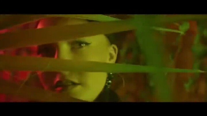 safari song Siam king 👑Please everyone share this video with as many likes and comments as possible
