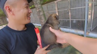 Trộm chó à? Chú Mo đã đến căn cứ chó nghiệp vụ để quay phim những chú chó con, chú ấy nói rằng sẽ cắ