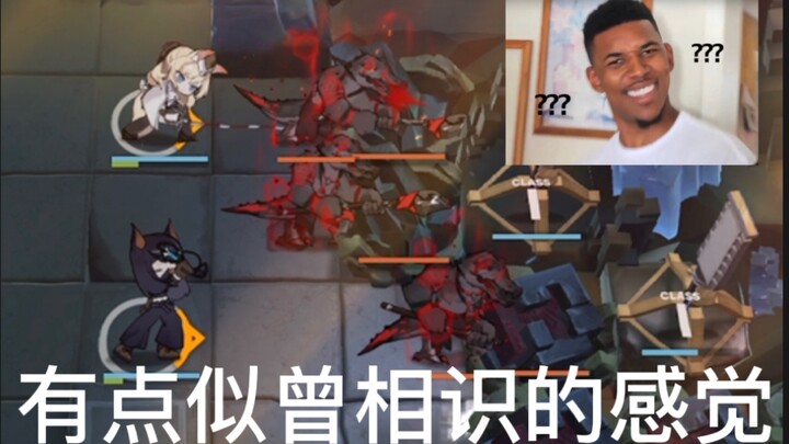 أعطِ التماسيح بعض الصدمات الصغيرة من رود آيلاند