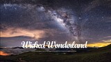 [Nhạc Tik Tok] Wicked Wonderland - Martin Tungevaag |  Bản nhạc trong clip Vịt Hóa Thiên Nga