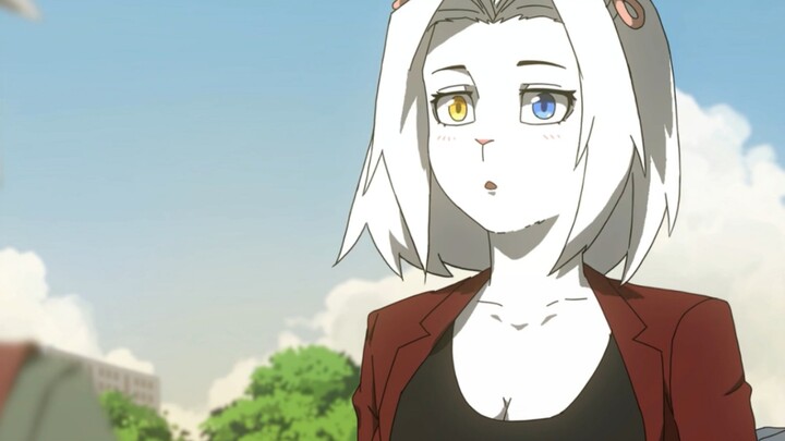White hair, strange eyes, cat girl