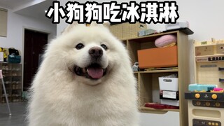 People eat people's ice cream, dogs eat dogs' ice cream, there's nothing wrong with that!