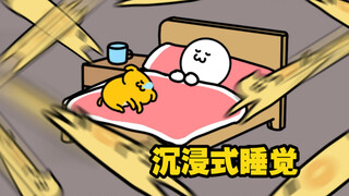 Immersive experience of spending a night with cats and dogs