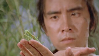 男人靠模仿螳螂而练出一套拳法