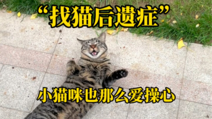 Vậy thì GouGou và Hachijō, ai thông minh hơn đây?