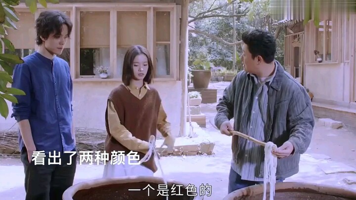 想象不出，能看见四色的人，眼中的世界是什么样的