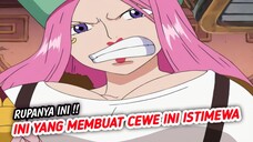 PANTAS SAJA PEMERINTAH DUNIA DAN ANGKATAN LAUT MENGHORMATINYA !! ONE PIECE TERBARU