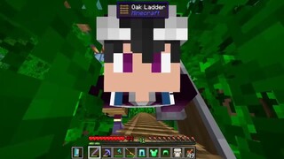 MINECRAFT VUA HẢI TẶC _ TẬP 7 _ LỘC TRỞ THÀNH HẮC CƯỚC SANJI CỰC NGẦUBỊ HẢI QUÂN