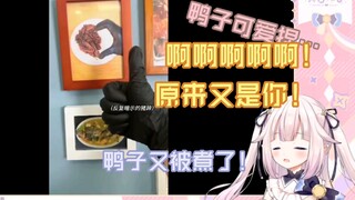 โลลิต้าญี่ปุ่นดู "ขนมปังปิ้งแทนการกินไวน์ทำอาหารใช่ไหม?" 》และรู้สึกหวาดกลัวกับปรมาจารย์ระดับสูงของพื
