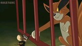 TOM AND JERRY SHIPUDDEN
