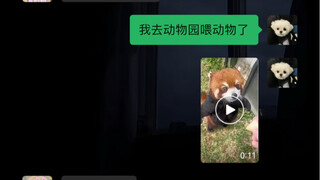 可爱到嚣张！！！