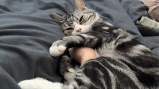 Oh my gosh, I wanna be one of the first cats left behind waiting for my owner!