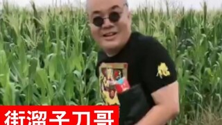 Daoge remakes the classic old movie Street Flitter