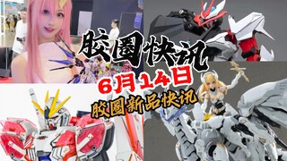 【6月14日胶圈快讯】