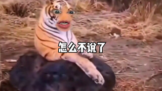 النمر: يبدو لي أنك نمر حقيقي بالفعل.