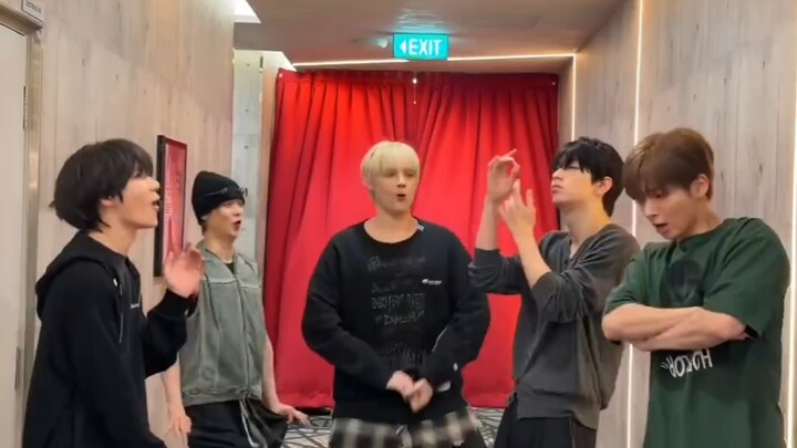 TXT يقدّم بنفسه نسخة يودل من أغنية SRR.. حاليًا تلقى رواجًا كبيرًا على المنصات الخارجية! 260119 Yode