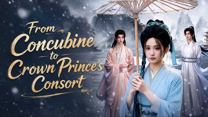From Concubine to Crown Prince's Consort
