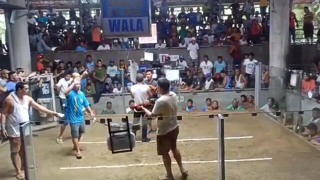 2hits ulotan champion💪