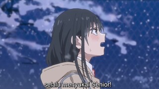 Sederhana tapi Mikasa ga bisa kaya Rin