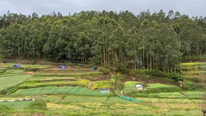 Ooty