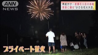 「プライベート花火大会」苦境の花火師が再起の策(2021年8月29日)