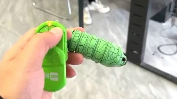 Hahahaha, ulat ini lucu sekali.