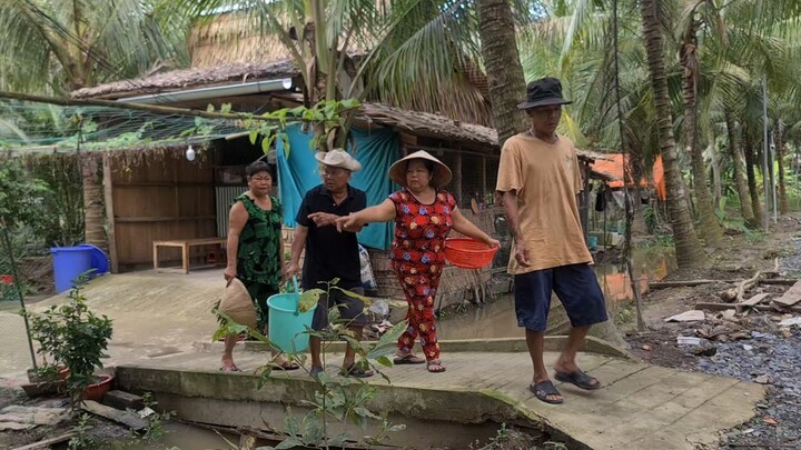 Mưa Lũ Tràn Về Gia Đình Chỉ Còn Cách Rủ Nhau Ra Vườn Đổ Lú Hái Rau | TKQ & Family T1134