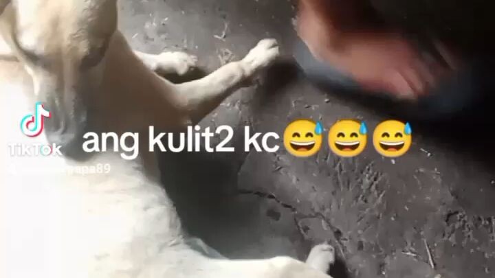 ang kulit