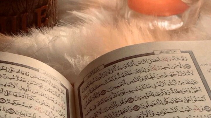 quran tilawat in Urdu translation beautiful recitation#quran