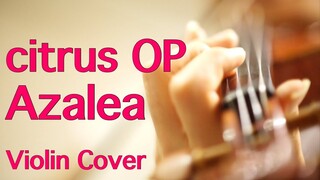 “citrus” OP “Azalea” (アザレア) / nano.RIPE (Anime Violin Cover)