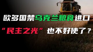 欧洲多国禁止乌克兰粮食进口，友谊的小船说翻就翻？