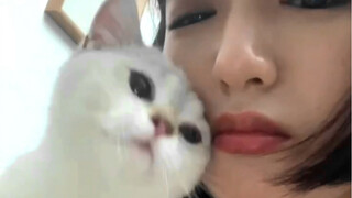 หลงรักลูกแมวเพียงชั่วครู่
