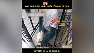 huấn luyện chú chó bướng bỉnh 🐶reviewphim nntreview2 reviewphimhay mereviewphim