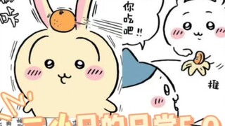 “总会有人读懂我的隐晦”