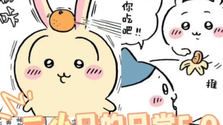 “总会有人读懂我的隐晦”