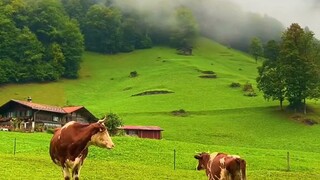 Beautiful view in Switzerland