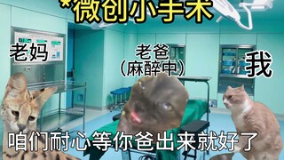【猫meme】各位，请允许我向你们介绍我的父亲