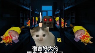 你可以永远相信兄弟的话