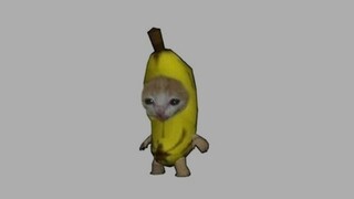 Poor banana cat😢 credit to Guinutil