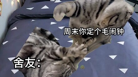 เมื่อนาฬิกาปลุกของเพื่อนร่วมห้องทำให้คุณตื่นขึ้นมา