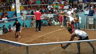 2 stag elimination sa lipa (7 stag derby)  1st fight malatuba #kanawayon family