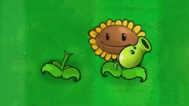 Give the Peashooter back his head!