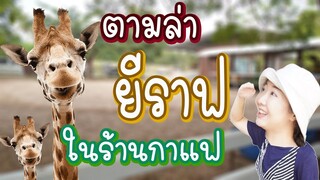 ตามหายีราฟในร้านกาแฟ Mountain cafe @zoo EP.163