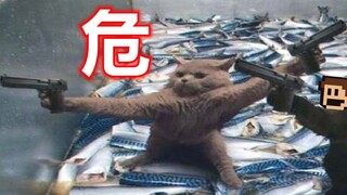 这是什么汤姆才能想出来的陷阱？？？