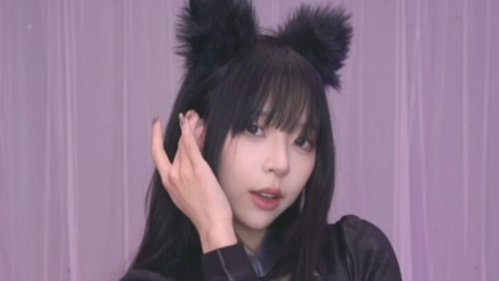 شياو مياو 1.26